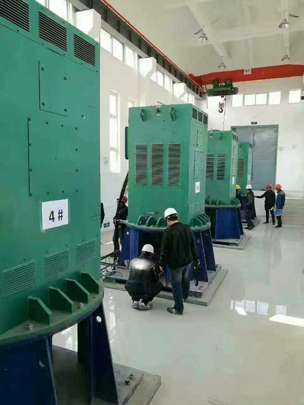 Y6302-10某污水处理厂使用我厂的立式高压电机安装现场