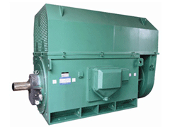 Y6302-10Y系列6KV高压电机